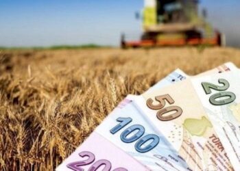 Tarımsal destek ödemeleri yatırılıyor