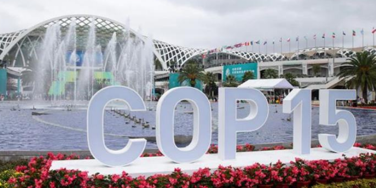 Türkiye Biyolojik Çeşitlilik Sözleşmesi’nin 2024-2026 dönem başkanlığını yapacak