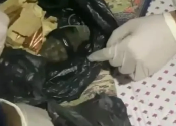 Elektrik süpürgesinden bomba çıktı!