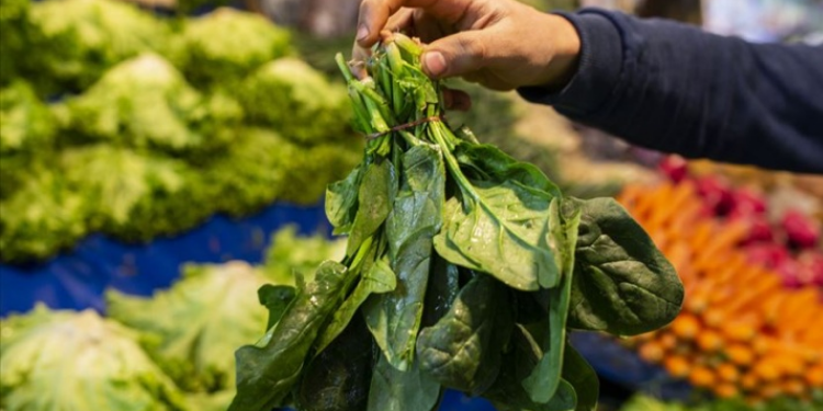 Zehirli ıspanak alarmı!