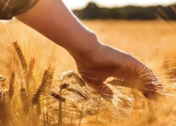 Çiftçi Kayıt Sistemi Başvurularında Son Tarih 31 Aralık!