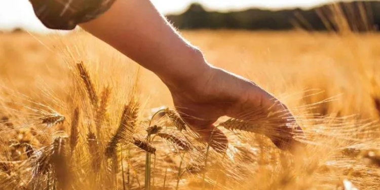 Çiftçi Kayıt Sistemi Başvurularında Son Tarih 31 Aralık!