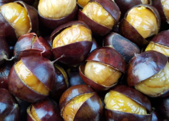 Kestanenin Faydaları Nelerdir? Kestane Neye İyi Gelir?