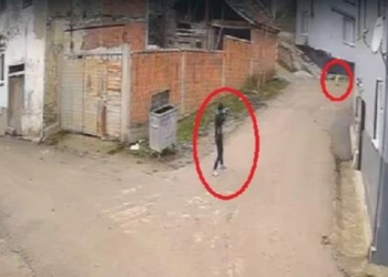 Sokak köpeğine kurşun yağdırdı!