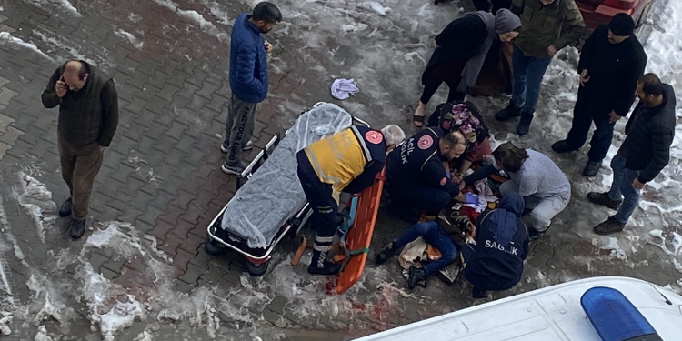 Sokak köpeği vahşeti bitmiyor! Bir evlat daha yaşama veda etti!