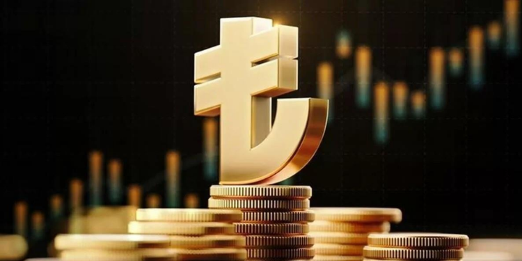 Türk Lirası İlk Kez Dijital Olarak Kullanılacak