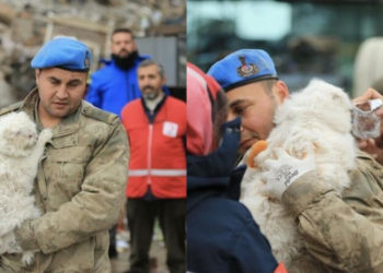 Enkazdan kurtarılan kedi askere adeta sarıldı!