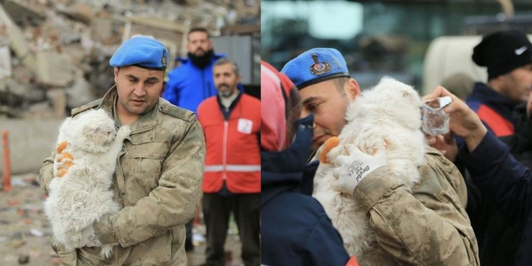Enkazdan kurtarılan kedi askere adeta sarıldı!