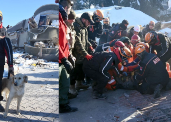 Köpük 77. saatte sonra yaşlı adamı kurtardı!