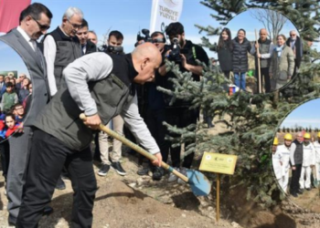 Hayatını kaybeden depremzedeler için hatıra ormanı yapılacak