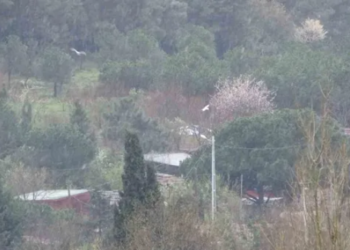 İstanbul’da kar yağışı etkili oluyor