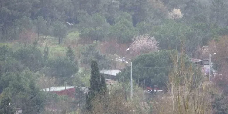 İstanbul’da kar yağışı etkili oluyor