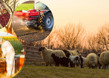 Çiftçilere 1,7 milyar liralık destek ödemeleri bugün yapılacak