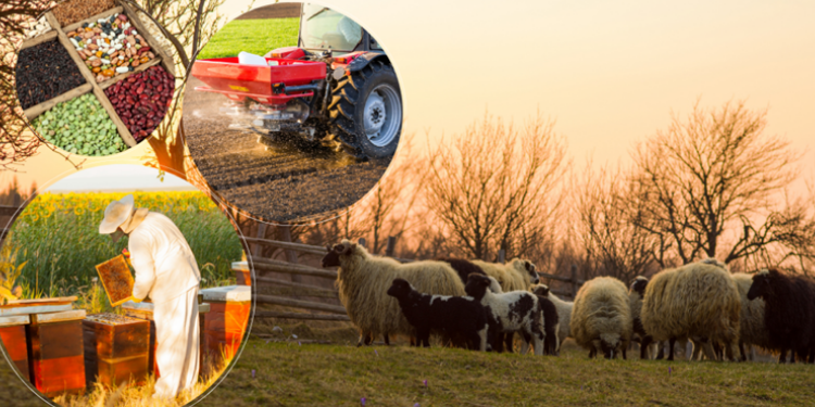 Çiftçilere 1,7 milyar liralık destek ödemeleri bugün yapılacak