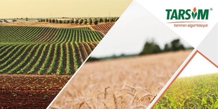 TARSİM’de hasar fazlası destek prim oranları açıklandı