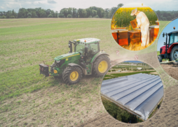 Kırsal kalkınma projelerine hibe desteği