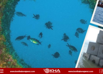 Balık popülasyonu yapay yuvalarla artırılacak