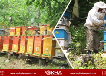 2022 yılında 118 bin 297 ton bal üretimi yapıldı