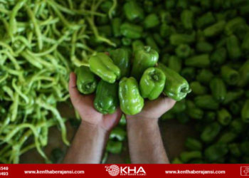 Biber soğanı solladı!