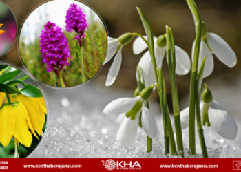 Türkiye biyokaçakçılıkla mücadelesini sürdürüyor