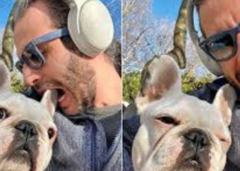 Harun can köpeği yüzünden darp edildi