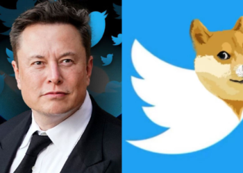 Twitter logosu Dogecoin oldu