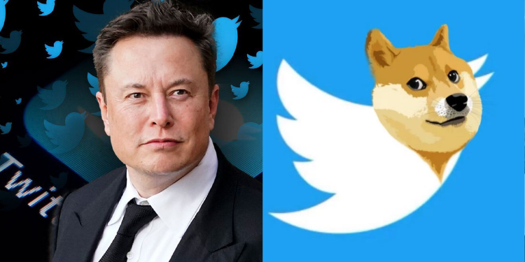 Twitter logosu Dogecoin oldu