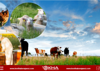 Bakanlıktan depremde hayvanları telef olan besicilere destek