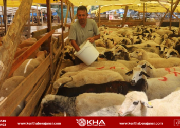 Kartal Kurban Satış Ve Kesim Alanı Bayrama Hazır