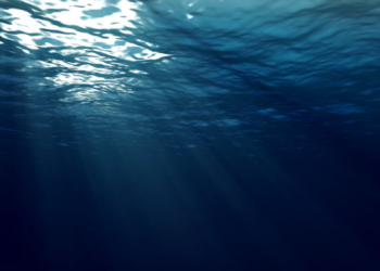 Okyanuslar aşırı ısındı!