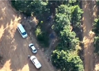 Sultanbeyli Aydos Ormanı’nda Dronlu Denetim