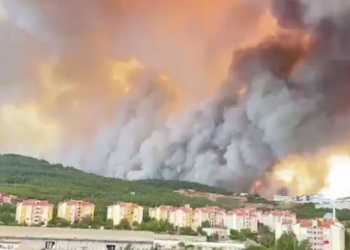 Çanakkale’deki orman yangınında son durum!
