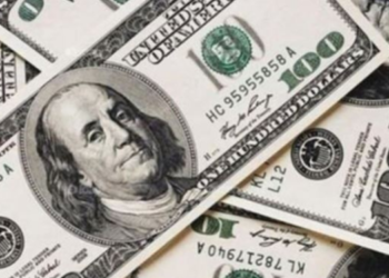 DOLAR  KAÇ TL OLACAK?