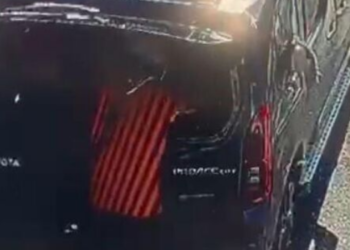 Kısırlaştırılmaya götürülen kedi, aracın camını kafasıyla kırıp kaçtı