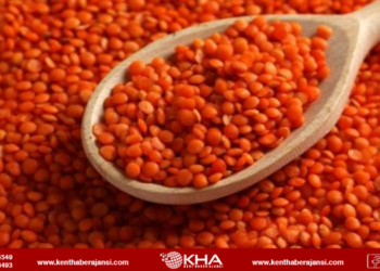 İthal mercimek yerli mercimekten daha ucuz…