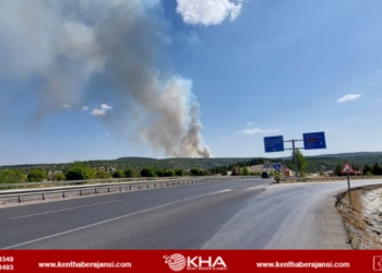 Kütahya’da orman yangını