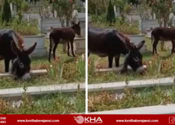 Sultanbeyli Osmangazi Mezarlığında Tepki Çeken Görüntü!