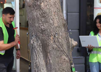 AKUSTİK TOMOGRAFİ YÖNTEMİYLE AĞAÇLARIN RÖNTGENİ ÇEKİLİYOR