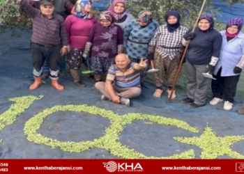 Çiftçiler zeytinlerle 100. yıl logosu yaptı