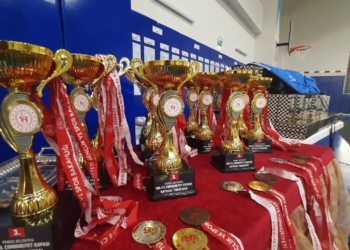 100. Yıl Cumhuriyet Kupası Satranç Turnuvası