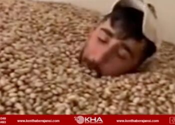 Siirt’te fıstık deposunda iğrenç görüntü: Bakanlık harekete geçti!