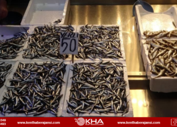 Fırtına hamsi fiyatlarını vurdu!