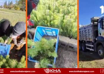 Milli Ağaçlandırma Günü’nde Fidanlar Kök Saldı