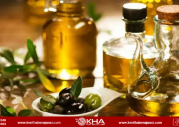 Zeytinyağı fiyatlarına yüzde100 zam