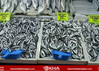 Fırtına balık fiyatlarını vurdu