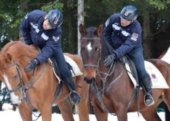 Kartepe’de Atlı Jandarma Timleri Göreve Başladı