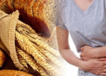 81 ilde zorunlu olacak!