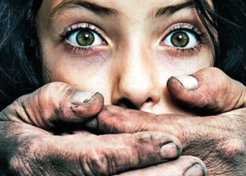 2023 yılında 315 kadın cinayeti işlendi