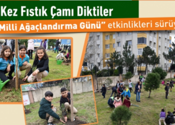 Yenişehir Mahallesi’nde 50 fıstık çamı dikti