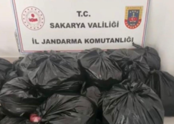 Denetim yapılan bir tırda 700 kilo at ve eşek eti ele geçirildi